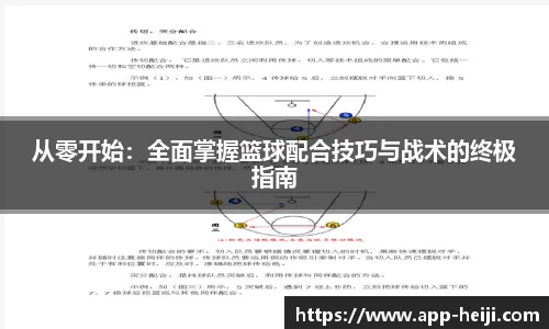 从零开始：全面掌握篮球配合技巧与战术的终极指南